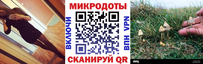 Купить  Радужный  Псилоцибиновые грибы мицелий 